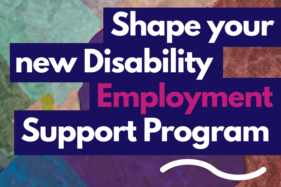 Shape you new Disability Employment Support Program